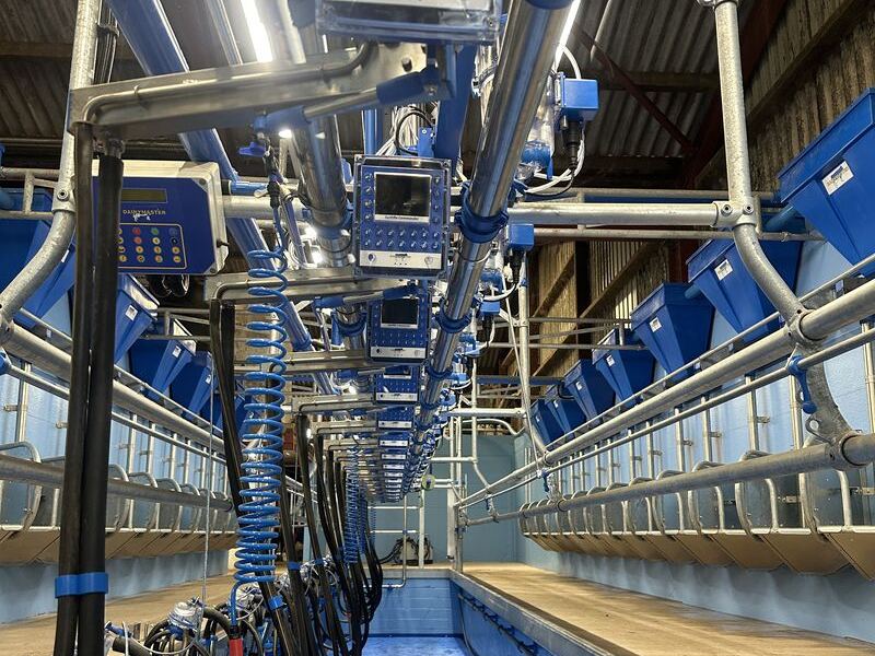 Milking clusters and milk lines in a working parlour pit