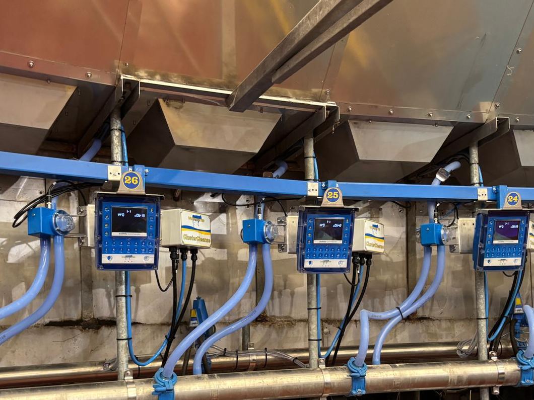 Control units, cabling and lighting in a milking parlour — agricultural electrical work